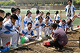 省科学院助力西安高新一中种植园建设