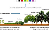 水保所刘国彬团队在植被演替中有机质稳定性研究方面取得新进展