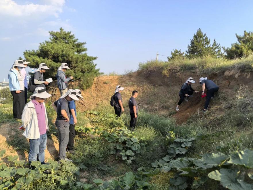 研究可靠代用指标破解石峁遗址兴衰演化与气候环境变化关系