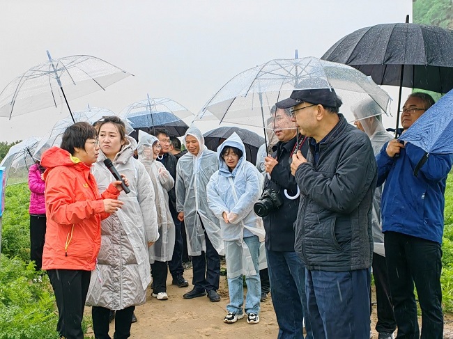 “十四五”国家重点研发计划项目《作物重大线虫病灾变机制与可持续防控技术研究》的关键防控技术现场观摩会举行