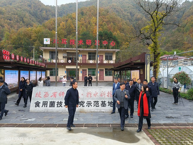 陕西省微生物所向科技部定点帮扶工作调研组汇报项目成效