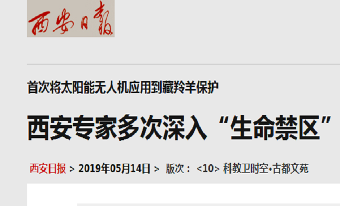 首次将太阳能无人机应用到藏羚羊保护  西安专家多次深入“生命禁区”