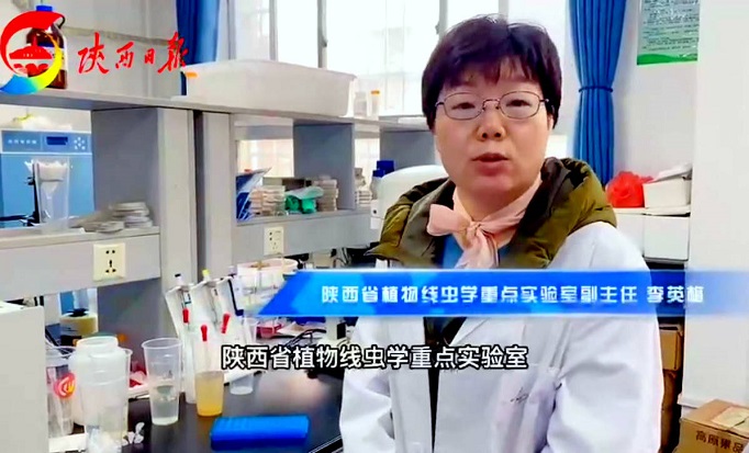 探访陕西省植物线虫学重点实验室