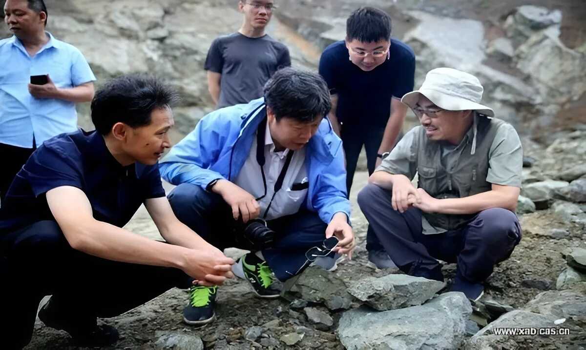 科技助力秦巴山区青山绿水变金山银山——中国科学院西安分院、陕西省科学院支撑乡村振兴纪实