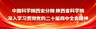 深入学习贯彻党的二十届四中全会精神
