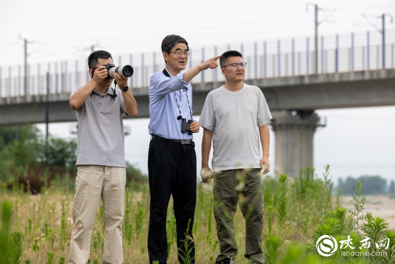 【陕西网】全国优秀共产党员吴晓民：把论文写在祖国的绿水青山之间