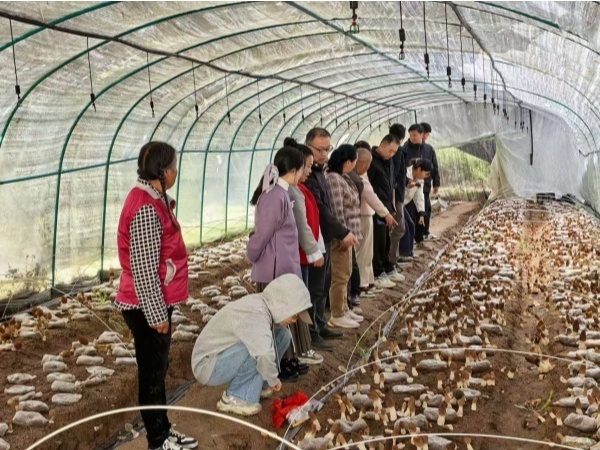 连续两年获评优秀！省微生物研究所科技赋能，助力乡村振兴提质增效