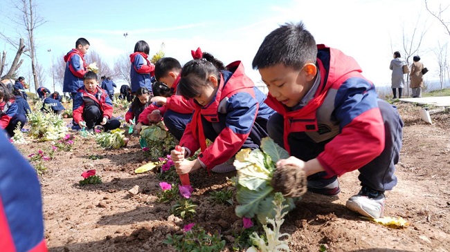 雁塔区第33届“科技之春”宣传月活动在西安植物园启动