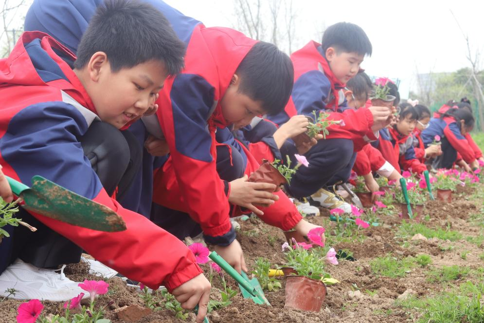 雁塔区第34届“科技之春”宣传月活动在西安植物园启动